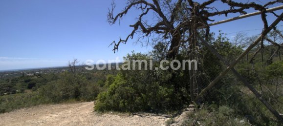 Terreno en Loule, Portugal 10793 m² No. 55212 10