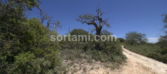 Terreno en Loule, Portugal 10793 m² No. 55212 9