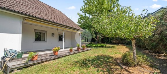 Дом с 4 спальнями в Фрайбург им Брайсгау, Германия № 355871 20