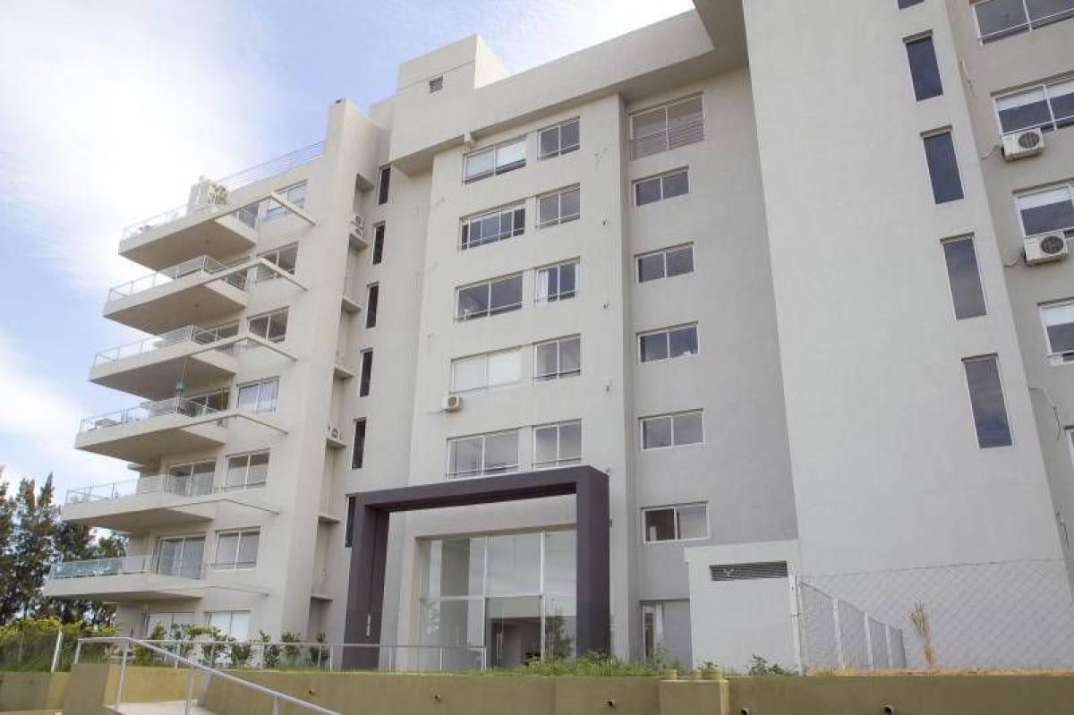 Studio in Tigre, Argentina No. 62475