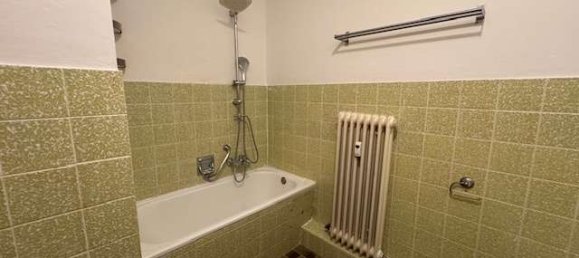 1 غرف نوم شقة في Ludwigshafen am Rhein, Germany رقم 59429 5