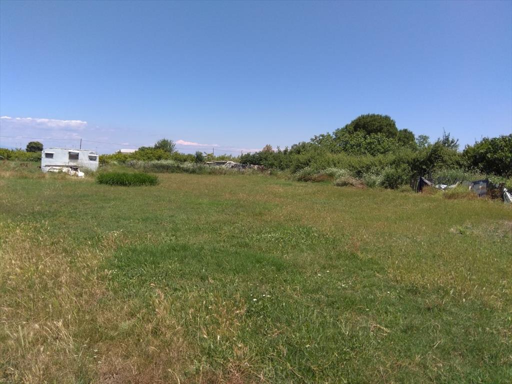  فندق في Chalkidiki, Greece 16800متر مربع رقم 6141