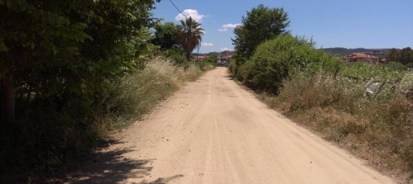  فندق في Chalkidiki, Greece 16800متر مربع رقم 6141 3
