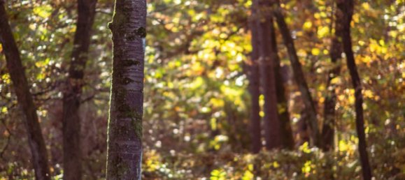 Villa de 9 divisões em Appiano Gentile, Italy N.º 92039 22