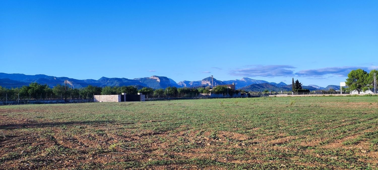  Land in Santa Maria Del Cami, Spain No. 278510