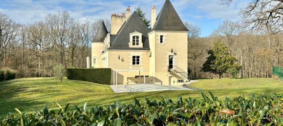 6 bedrooms Castles in Tours, France No. 349948 3