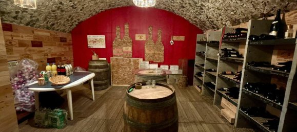 6 bedrooms Castles in Tours, France No. 349948 20