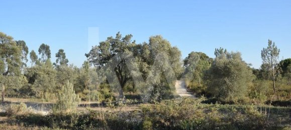 Земельный участок 434030м² в Аленкер, Португалия № 84951 8