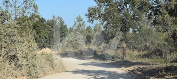 Земельный участок 434030м² в Аленкер, Португалия № 84951 6