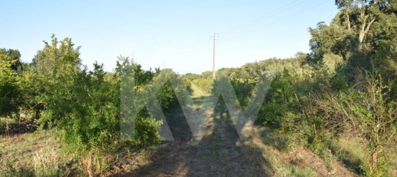 Земельный участок 434030м² в Аленкер, Португалия № 84951 17