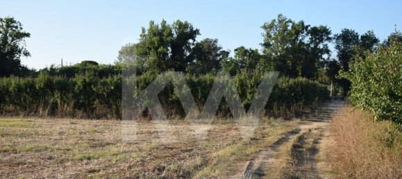 Земельный участок 434030м² в Аленкер, Португалия № 84951 26