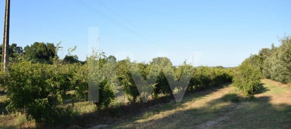 Земельный участок 434030м² в Аленкер, Португалия № 84951 15