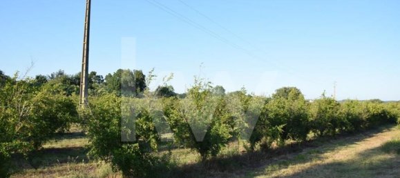 Земельный участок 434030м² в Аленкер, Португалия № 84951 13