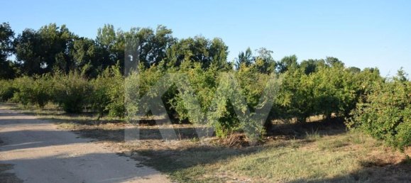 Земельный участок 434030м² в Аленкер, Португалия № 84951 14