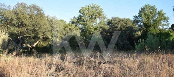 Земельный участок 434030м² в Аленкер, Португалия № 84951 29