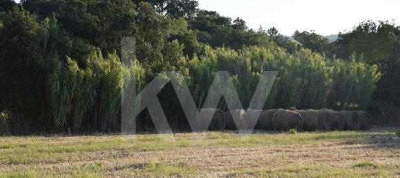 Земельный участок 434030м² в Аленкер, Португалия № 84951 24