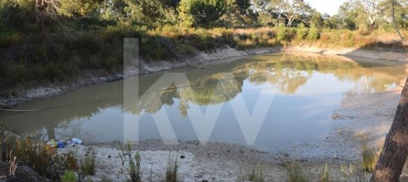 Земельный участок 434030м² в Аленкер, Португалия № 84951 11