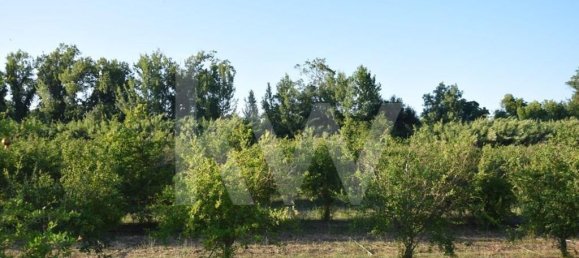 Земельный участок 434030м² в Аленкер, Португалия № 84951 18