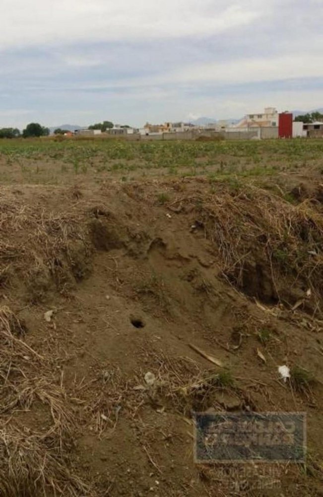  Land in Mexico No. 203255