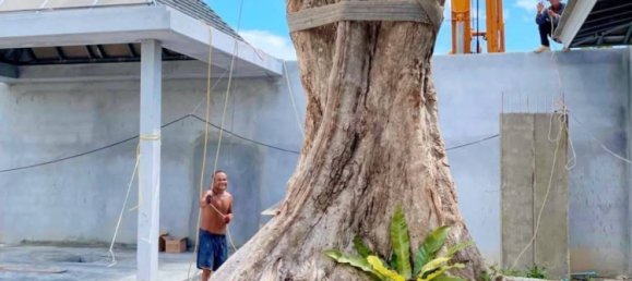 3 bedrooms Villa in Ko Samui, Thailand No. 58636 2