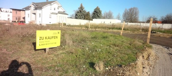  Land in Purbach am Neusiedler See, Austria No. 137594 3
