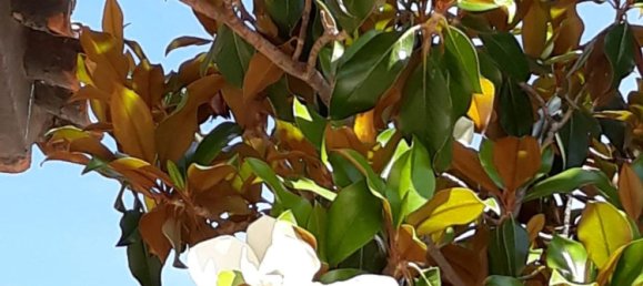 Casa T3 em Cuarte de Huerva, Spain N.º 154365 5