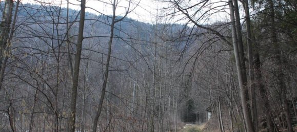 استوديو في Baceno, Italy رقم 351176 5