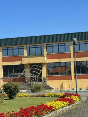 15 rooms Warehouse in Vila Nova de Gaia, Portugal No. 343421