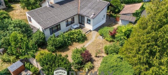 3 rooms House in Ulrichskirchen-Schleinbach, Austria No. 126235 17