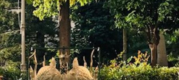 4 rooms Duplex in Alassio, Italy No. 165237 15