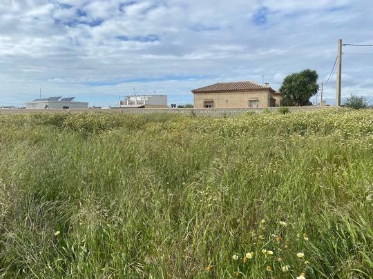  قطعة أرض في Cadiz, Spain 850متر مربع رقم 198601