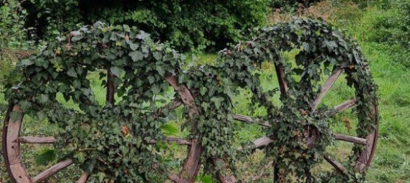 20غرفة بناية في Hameln-Pyrmont, Germany رقم 296266 22