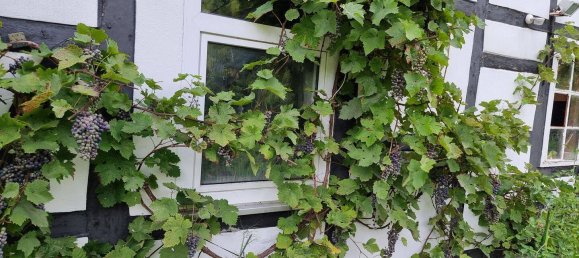 20غرفة بناية في Hameln-Pyrmont, Germany رقم 296266 17