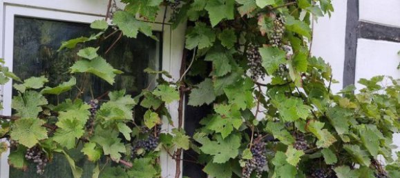 20غرفة بناية في Hameln-Pyrmont, Germany رقم 296266 18