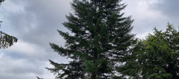 20غرفة بناية في Hameln-Pyrmont, Germany رقم 296266 3