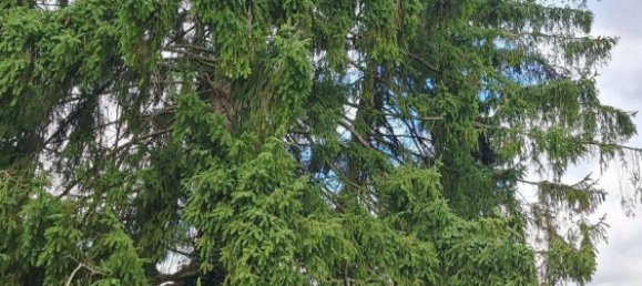 20غرفة بناية في Hameln-Pyrmont, Germany رقم 296266 9