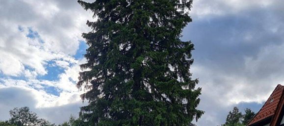 20غرفة بناية في Hameln-Pyrmont, Germany رقم 296266 11