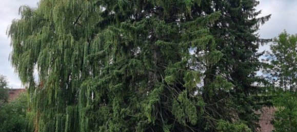 20غرفة بناية في Hameln-Pyrmont, Germany رقم 296266 13