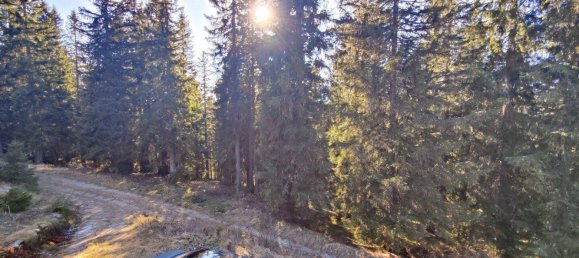 3 rooms House in Lobmingtal, Austria No. 121764 13