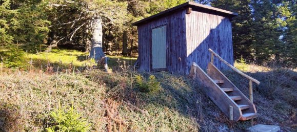 3 rooms House in Lobmingtal, Austria No. 121764 29