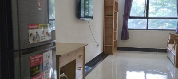 Studio in District 5, Vietnam No. 16155 9