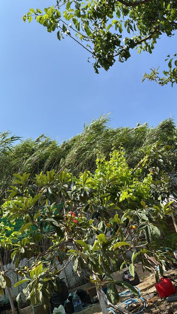 Terrain à Ciutat Vella, Spain No. 209264