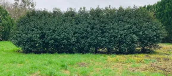 Terreno en Oise, France 580 m² No. 352467 3