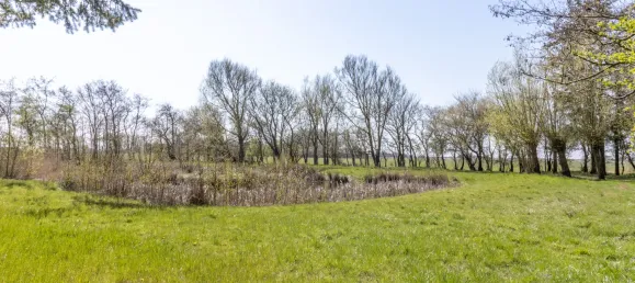 7 bedrooms Castles in Schleswig-Holstein, Germany No. 42335 19