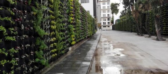 2 chambres Appartement à Mexicali, Mexico No. 175385 2