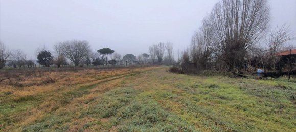 4 rooms House in Rovigo, Italy No. 103514 5