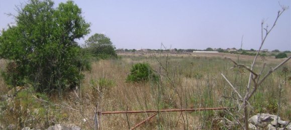 قطعة أرض في Portopalo di Capo Passero, Italy 186000متر مربع رقم 58900 17