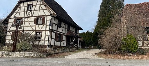 5 bedrooms House in Bettlach, France No. 75673 5