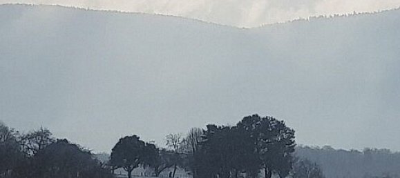 5 bedrooms House in Bettlach, France No. 75673 26