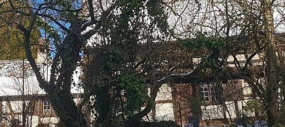 5 bedrooms House in Bettlach, France No. 75673 29